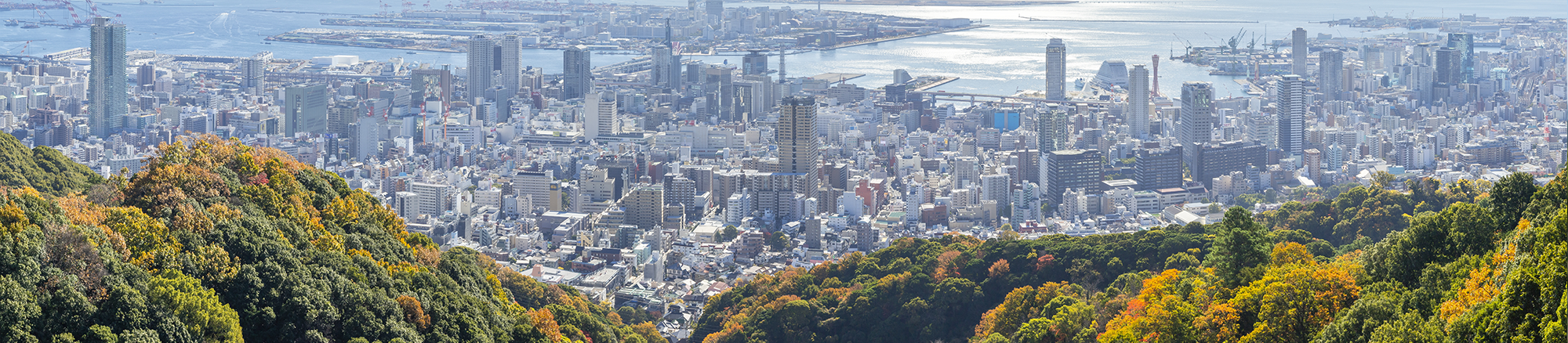 神戸、地域を活性化する事で日本が変わる